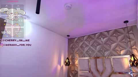 Snapshot of meraki_fraise chatting on 11.29.25 online show from 11.29.25