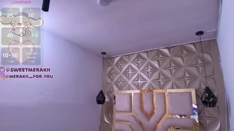 Snapshot of meraki_fraise chatting on 12.20.25 online show from 12.20.25