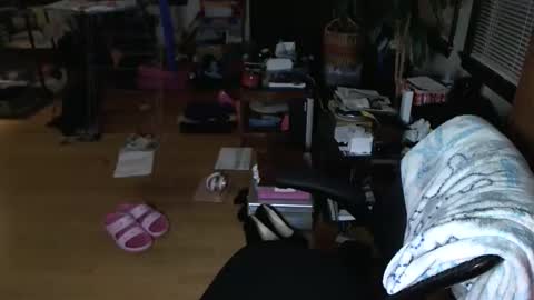 Snapshot of mercurybeetle chatting on 12.24.24 Tsukiko online show from 12.24.24