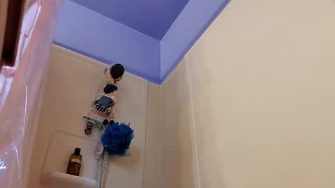 Snapshot of merelyalover chatting on 01.20.25 gurlnips online show from 01.20.25