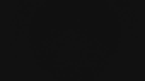 Wade online show from 02.13.26