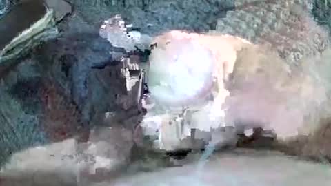 mexianthehawk online show from 11.03.25