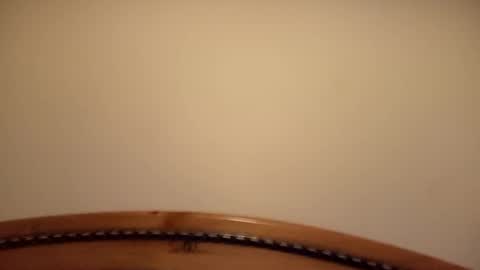 Snapshot of mhorny5 chatting on 09.14.25 mhorny5 online show from 09.14.25