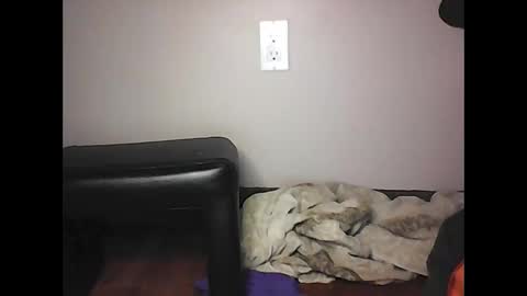 mi45419 online show from 11.02.25