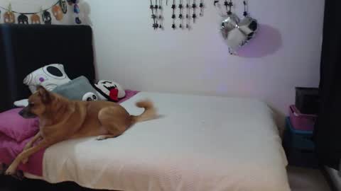 mia online show from 02.03.26