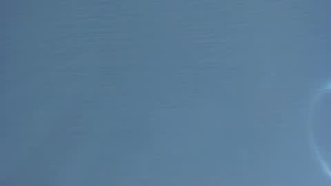 Mia online show from 01.16.26