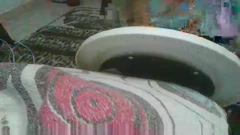 miagomezx online show from 02.17.26