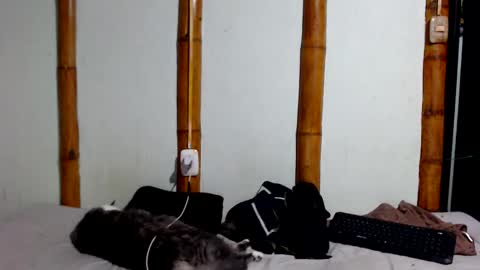 Snapshot of miahells chatting on 01.17.26 Mia Sam online show from 01.17.26