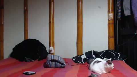 Mia  Sam online show from 03.07.26