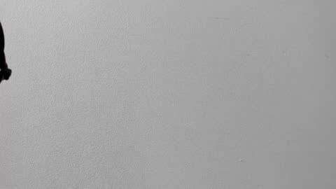 mia online show from 10.12.25