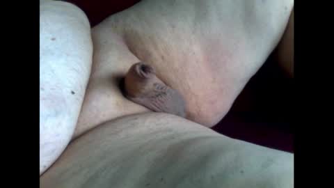 micropimmel online show from 10.11.25