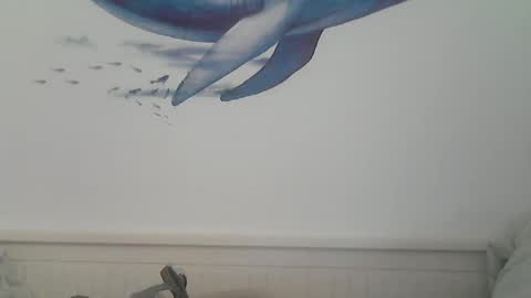 Snapshot of midhir chatting on 01.19.25 kike online show from 01.19.25