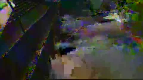 midtownhustler online show from 03.25.26