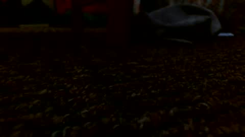 Miggy online show from 12.24.24