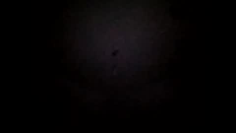 Snapshot of mikemike11k chatting on 01.25.25 mikemike11k online show from 01.25.25