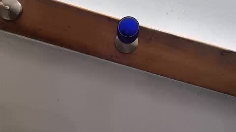 miky17cm online show from 01.12.26