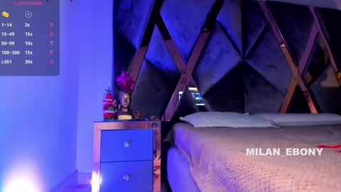 Milan  online show from 01.19.25