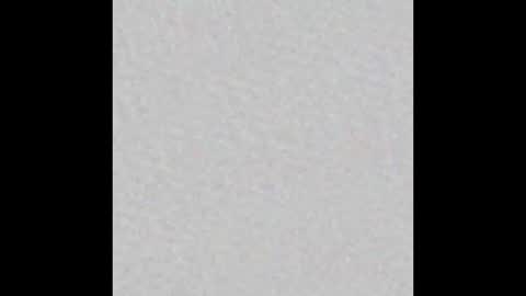 millergardener online show from 03.02.25