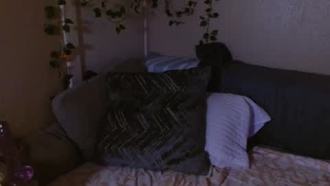 Mindy online show from 02.19.26