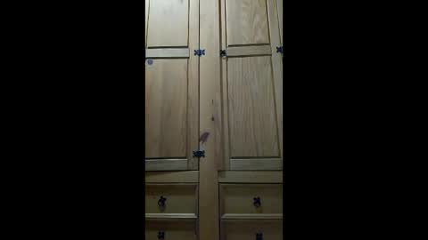 mineiro1514 online show from 04.06.26