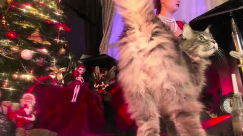Snapshot of miss_asmodeus chatting on 12.24.24 missAsmodeus online show from 12.24.24
