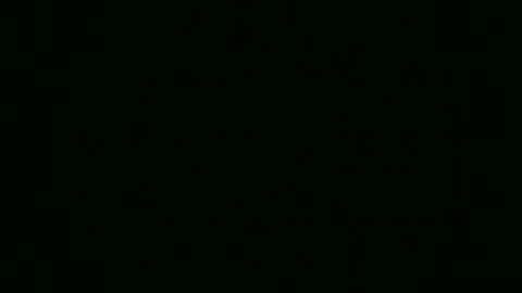 Elis online show from 11.13.25