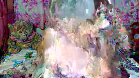 Snapshot of miss_v0lcan0 chatting on 03.15.26 miss v0lcan0 online show from 03.15.26