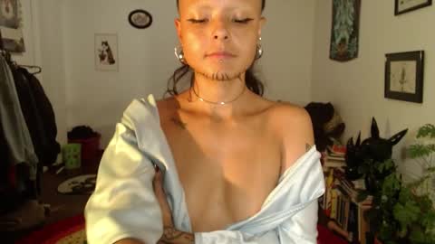 Anarkitten  online show from 02.11.25