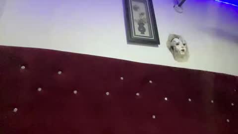 Missbelle online show from 02.28.26