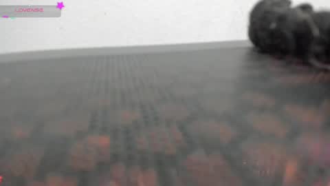 Vane online show from 04.01.26