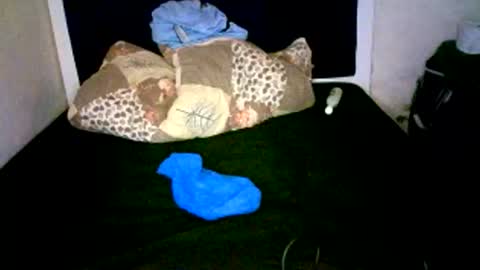 VAL online show from 01.07.26