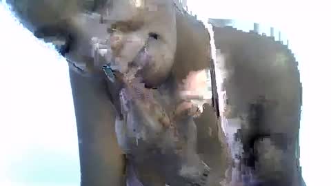 sexy online show from 01.19.26