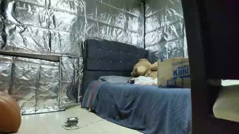 SCARLETH online show from 11.24.25