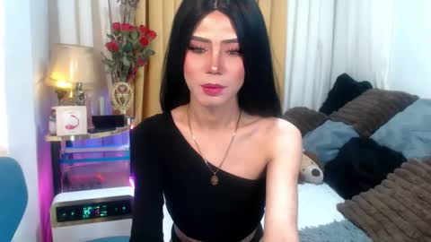 Stella online show from 04.23.26