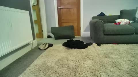 misterycouple12 online show from 12.27.24