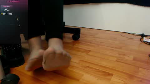Snapshot of mistressevelyn_ chatting on 12.19.24 MistressEvelyn online show from 12.19.24