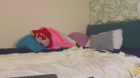 Snapshot of mitch911 chatting on 09.11.25 alice online show from 09.11.25