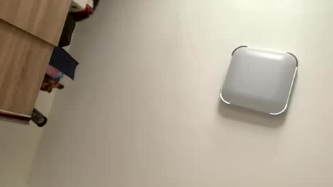 mitchi198989 online show from 04.03.26