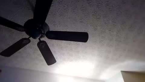 BobbyMitchGa online show from 09.18.25