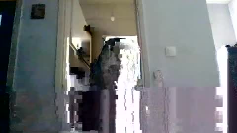 Snapshot of mmpempis81 chatting on 02.22.25 mmpempis81 online show from 02.22.25