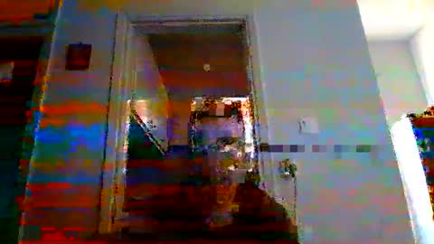 Snapshot of mmpempis81 chatting on 03.09.25 mmpempis81 online show from 03.09.25