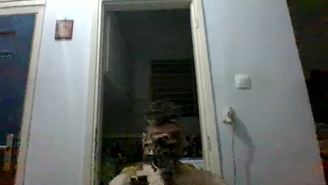 mmpempis81 online show from 09.28.25