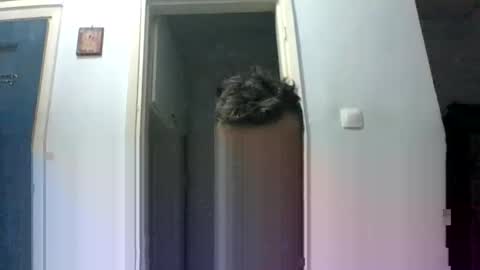 mmpempis81 online show from 09.29.25