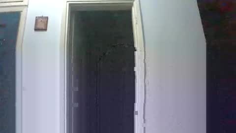 mmpempis81 online show from 10.07.25