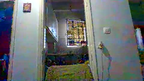 mmpempis81 online show from 10.24.25