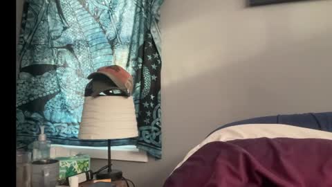 MNTuiLa online show from 01.13.25