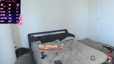 NynaStax online show from 12.08.24