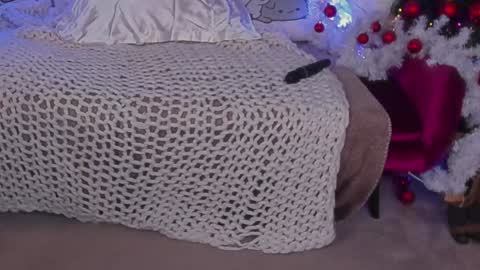 Snapshot of molinmoon chatting on 12.24.24 Rosa online show from 12.24.24