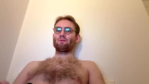 molliter online show from 03.02.26