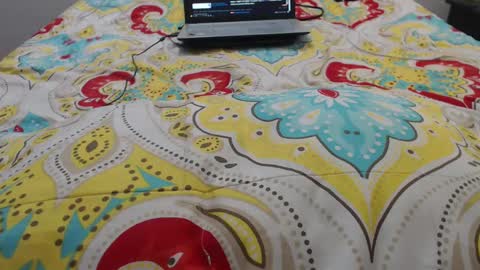 Molly And Brad online show from 09.20.25